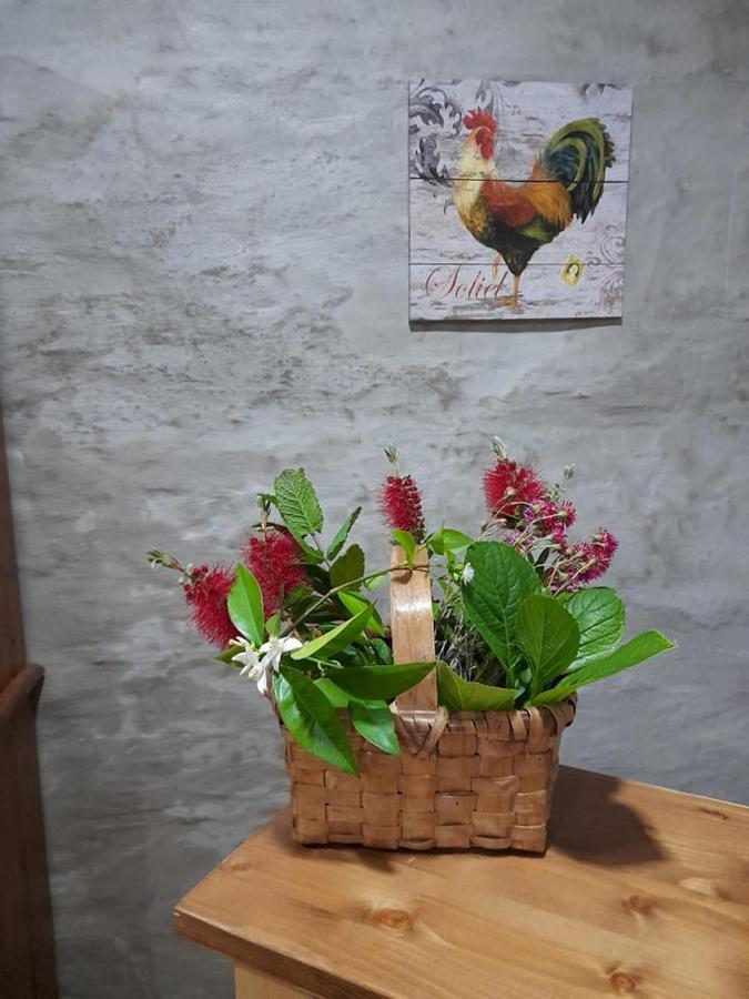 Bed and Breakfast Casa Dona Eufemia Pinhão Zewnętrze zdjęcie